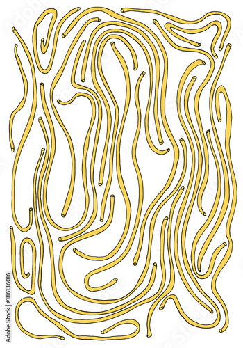 spagetti_5