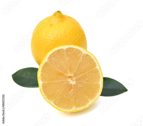 Group of fresh lemons on white background 