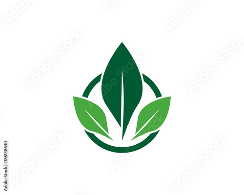 tree leaf logo template