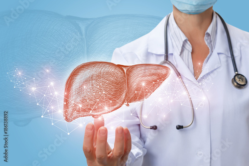 Fototapeta Naklejka Na Ścianę i Meble -  Doctor shows liver in hand .