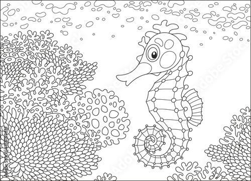 A funny seahorse swimming o...