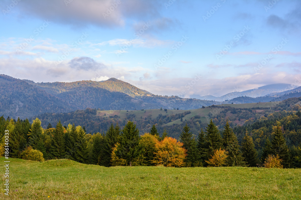 Mountain landscape, autumn sunny morning. Carpathian ..Mountains, Mizhhiria, Ukraine.