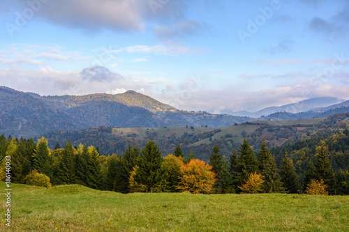 Mountain landscape, autumn sunny morning. Carpathian ..Mountains, Mizhhiria, Ukraine.