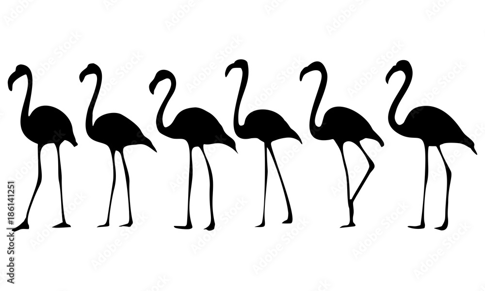 Obraz premium sylwetka ptaków flamingo
