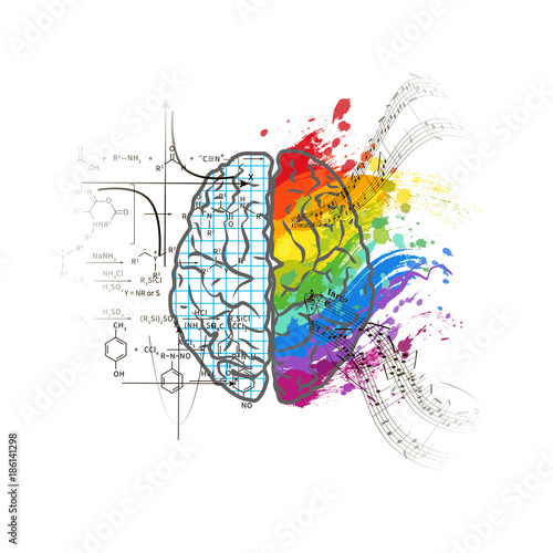 Technical and art hemispheres on human brain, left and right brain functions concept on white