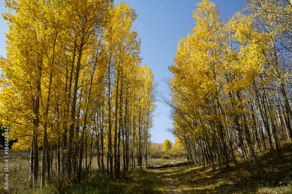 Colorado Autumn Scenery - Kenosha Pass