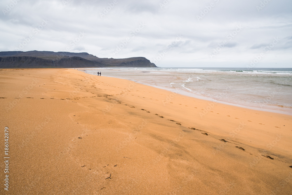 Landscape view of a sandy beach in Iceland with mountains in the distance. 