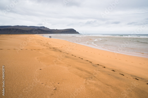 Landscape view of a sandy beach in Iceland with mountains in the distance. 