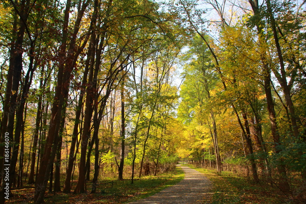 Fototapeta premium Spadek