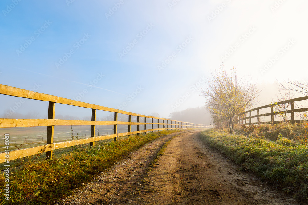Country road on a foggy misty morning surrounded by a wooden fence. Copy space