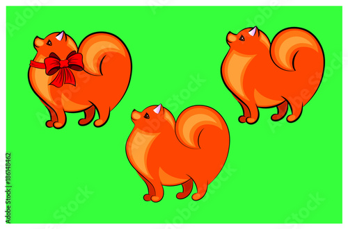 Vector illustration of a cute and funny Pomeranian Spitz