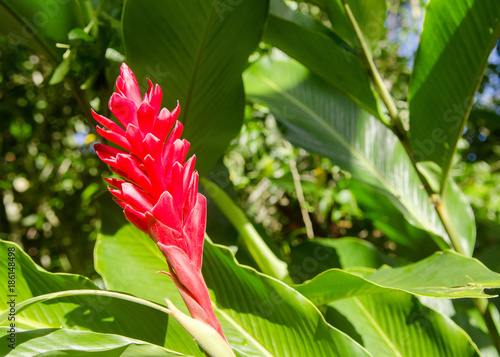 Canvastavla Garden of Eden Arboretum