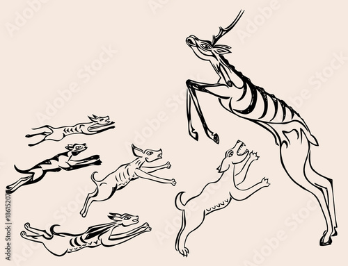 The dogs hunting a deer