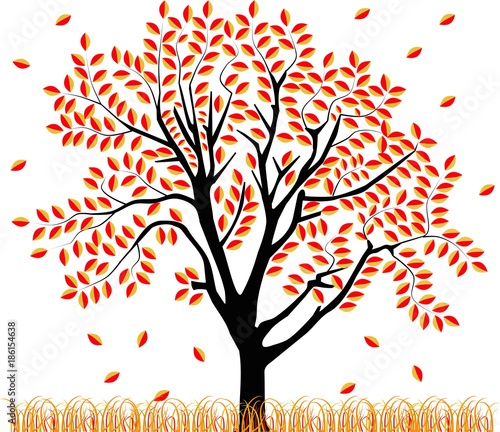 vector image of a tree in autumn © Andreas