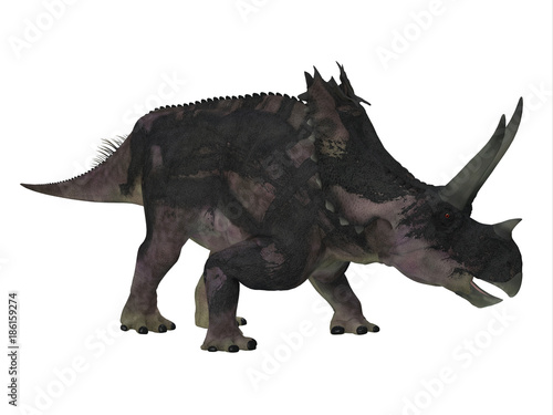 Agujaceratops Dinosaur Side Profile - Agujaceratops was a herbivorous ceratopsian dinosaur that lived in Texas, USA during the Cretaceous Period. © Catmando