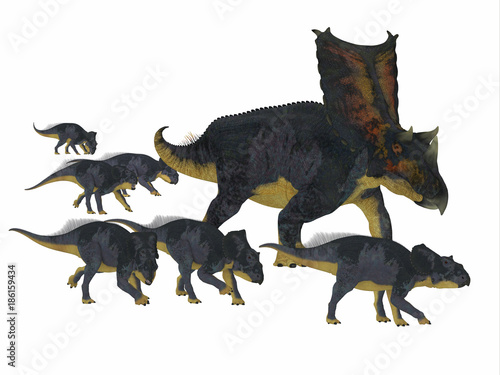Chasmosaurus Dinosaur with Young - Chasmosaurus was a herbivorous ceratopsian dinosaur that lived in Alberta, Canada during the Cretaceous period. © Catmando