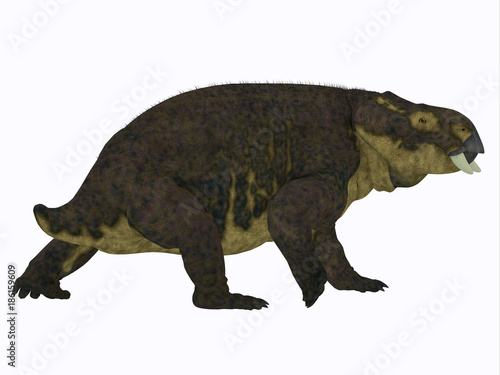 Placerias Dinosaur Tail - Placerias was a herbivorous dicynodont dinosaur that lived in Arizona, USA in the Triassic Period. © Catmando