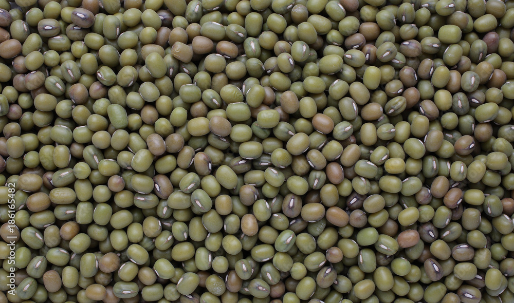 Mungbohne, Vigna radiata), auch Mungobohne, Jerusalembohne, Mung Dal Mungbohne, Vigna radiata), auch Mungobohne, Jerusalembohne, Mung Dal