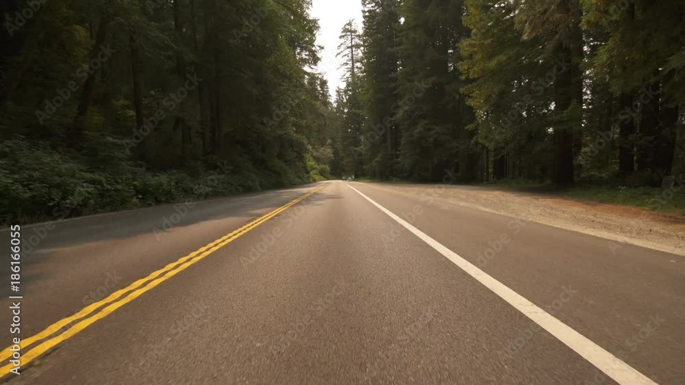 Redwood National Park Driving Template California USA Redwood National Park Driving Template California USA