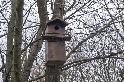 Wooden birdhouse with bird feeder hanging on the tree in winter city park