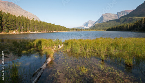 Dead wood log on shore of Fishercap Lake on the Swiftcurrent hiking trail in the Many Glacier region of Glacier National Park during the 2017 fall fires in Montana United States photo