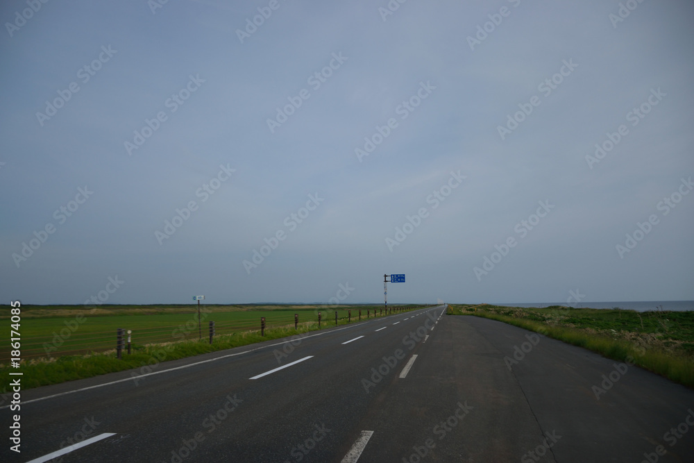 Fototapeta premium 大自然の道路