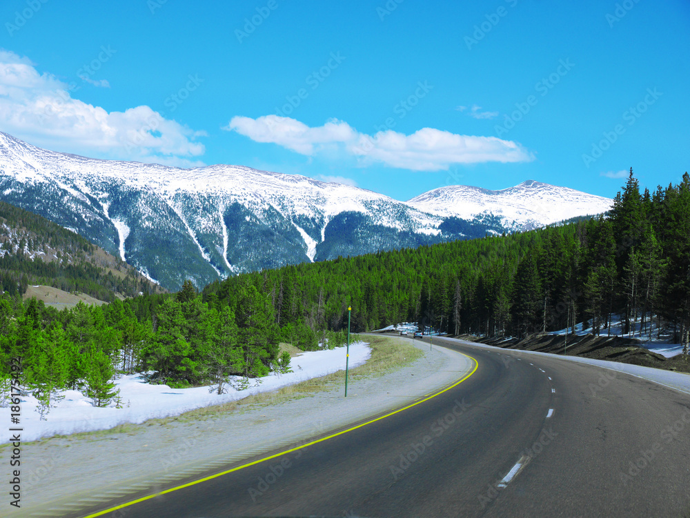 Fototapeta premium Empty road in a beautiful countryside of Colorado, USA with green pine trees along the road and mountain covered with snow in the background