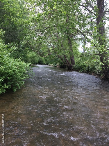 Richland Creek