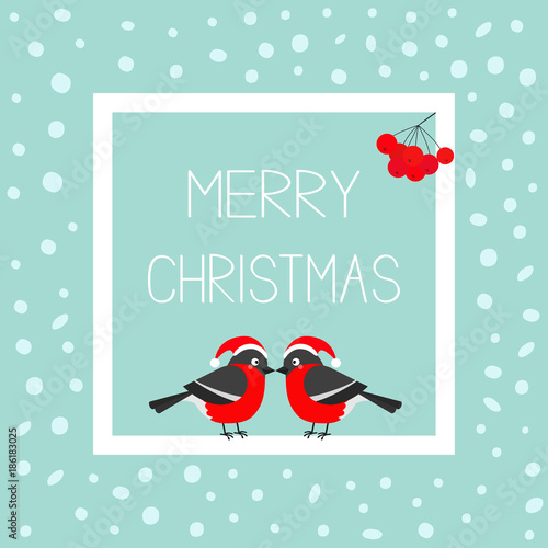 Merry Christmas greeting card. Bullfinch winter red feather bird set. Santa hat. Rowan rowanberry sorb berry. White square frame with text. Cute cartoon character. Flat design. Blue snow background