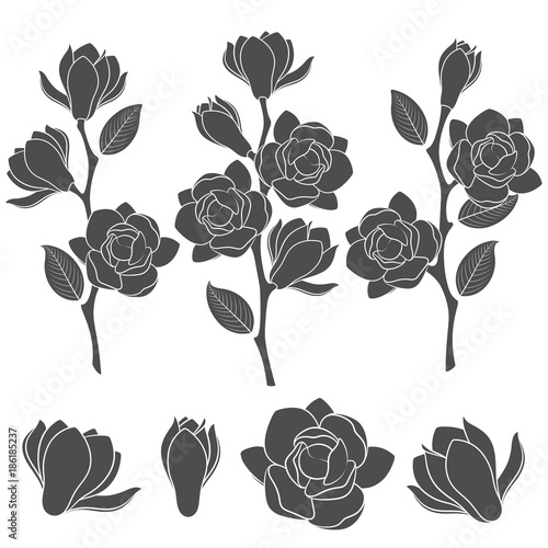 Set of black and white illustrations with flowering magnolia branches. Isolated vector objects on white background.