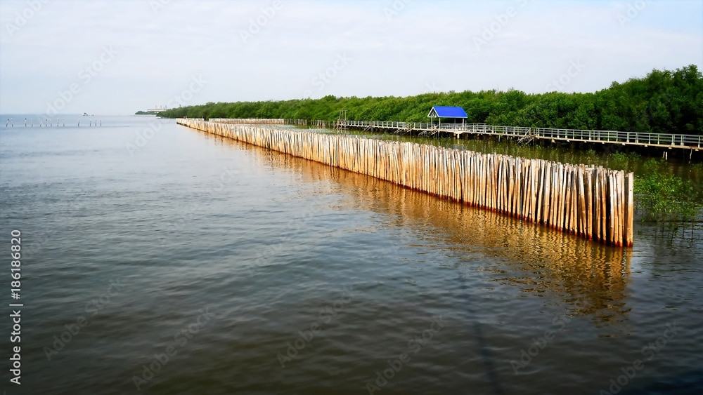 Bamboo Sticks Fence and Vivid Blue Pavilion on Seashore
