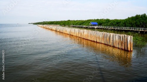 Fototapeta Naklejka Na Ścianę i Meble -  Bamboo Sticks Fence and Vivid Blue Pavilion on Seashore