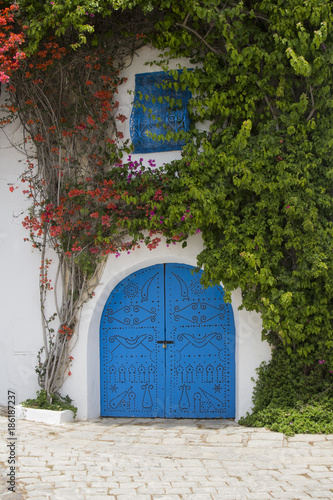Blue wooden door with arch from Sidi Bou Said in Tunisia