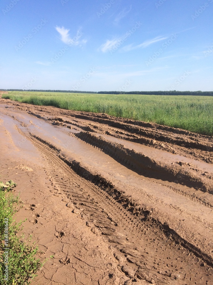 dirty clay road with traces of cars and tractors, a deep rut with puddles. agricultural road in the field for planting and harvesting blurred by rain dirty clay road with traces of cars and tractors, a deep rut with puddles. agricultural road in the field for planting and harvesting blurred by rain