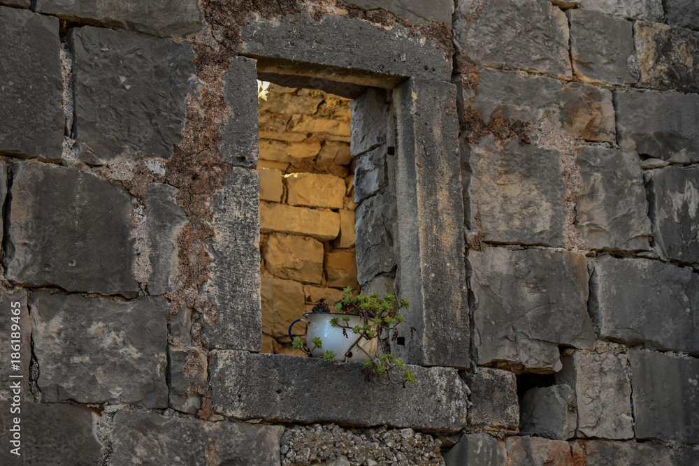 Flower pot in the ruins of open wall window 