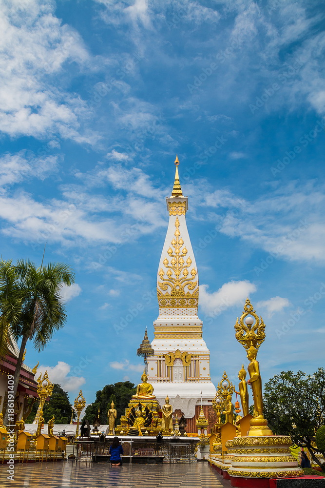 The pagoda in thailand call 'Phra That Pranmom'