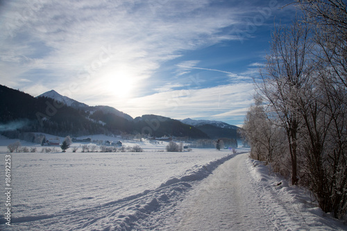 Fototapeta Naklejka Na Ścianę i Meble -  Spazierweg im Winter, Abendsonne