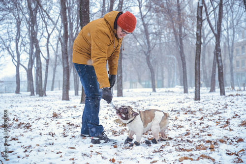 French Bulldog dog playingin the winter with man in the park photo