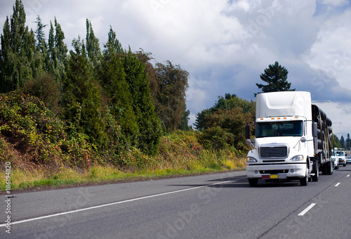 Big rig semi truck moving with trailer on green wide highway with trees on roadside © vit