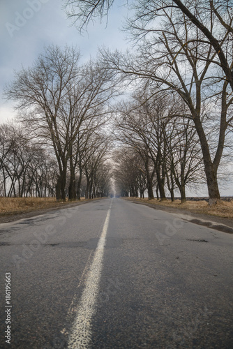 empty  highway with trees on sides in autumn day