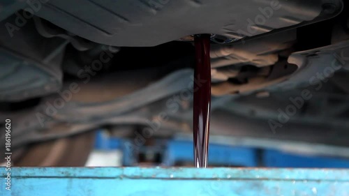 Auto Mechanic Draining Old Gear Oil Transaxle Underneath the Car Lift at the Garage photo