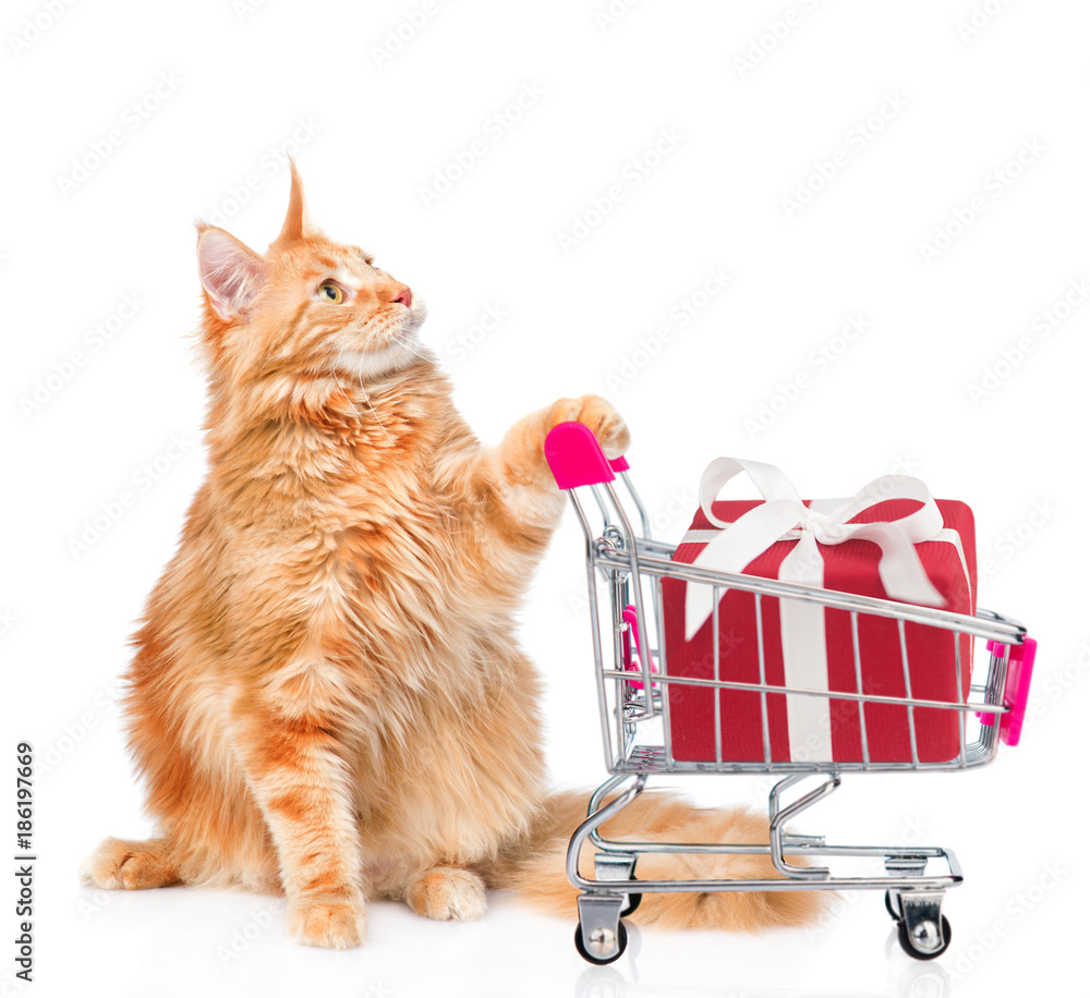 Funny cat with gift box in shopping trolley. isolated on white background  Stock-Foto | Adobe Stock