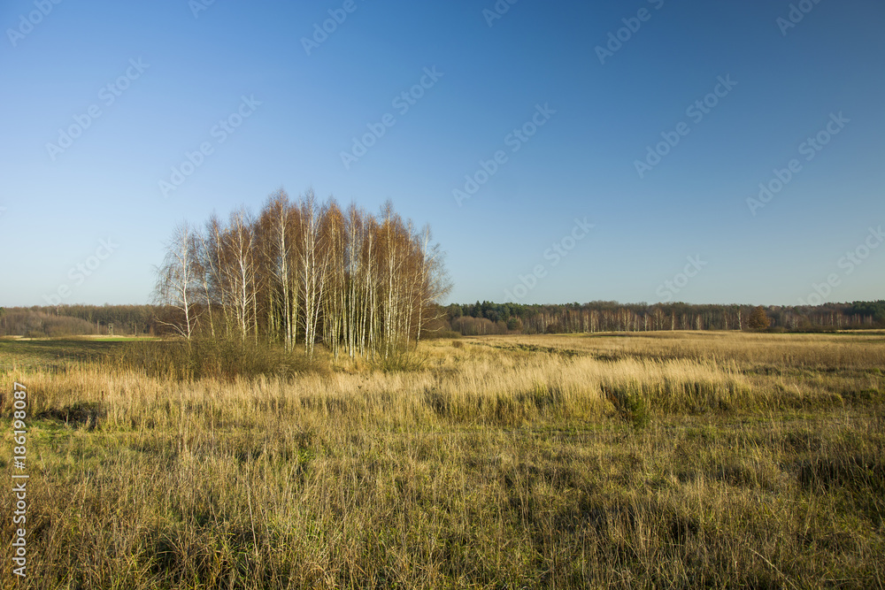 Dry meadows and coppice in autumn