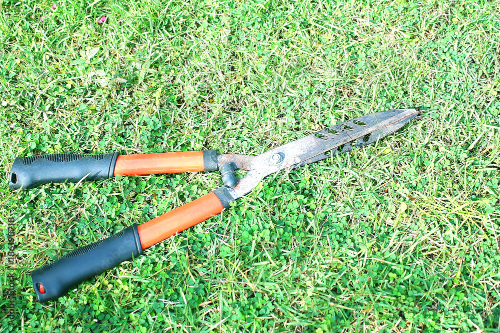 Fototapeta premium Grass shears on the green grass,background