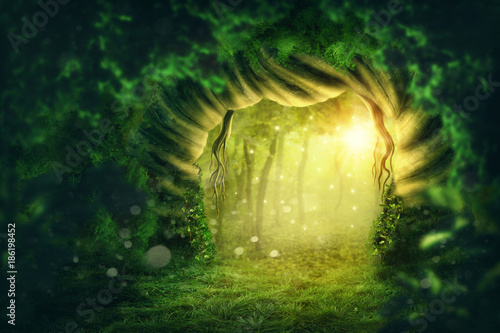 Wall Mural Magic dark forest