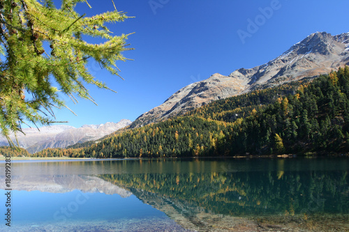 Fototapeta Naklejka Na Ścianę i Meble -  Autumn Lake in Swirtzerland