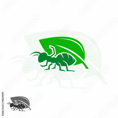 an ant and green leaf