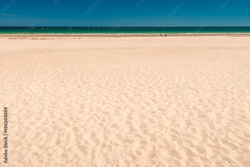 Fototapeta premium Australian beach background