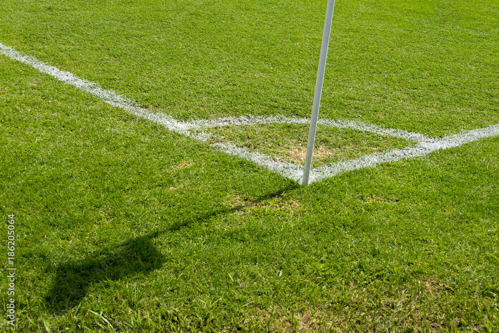 Corner of football field. green grass