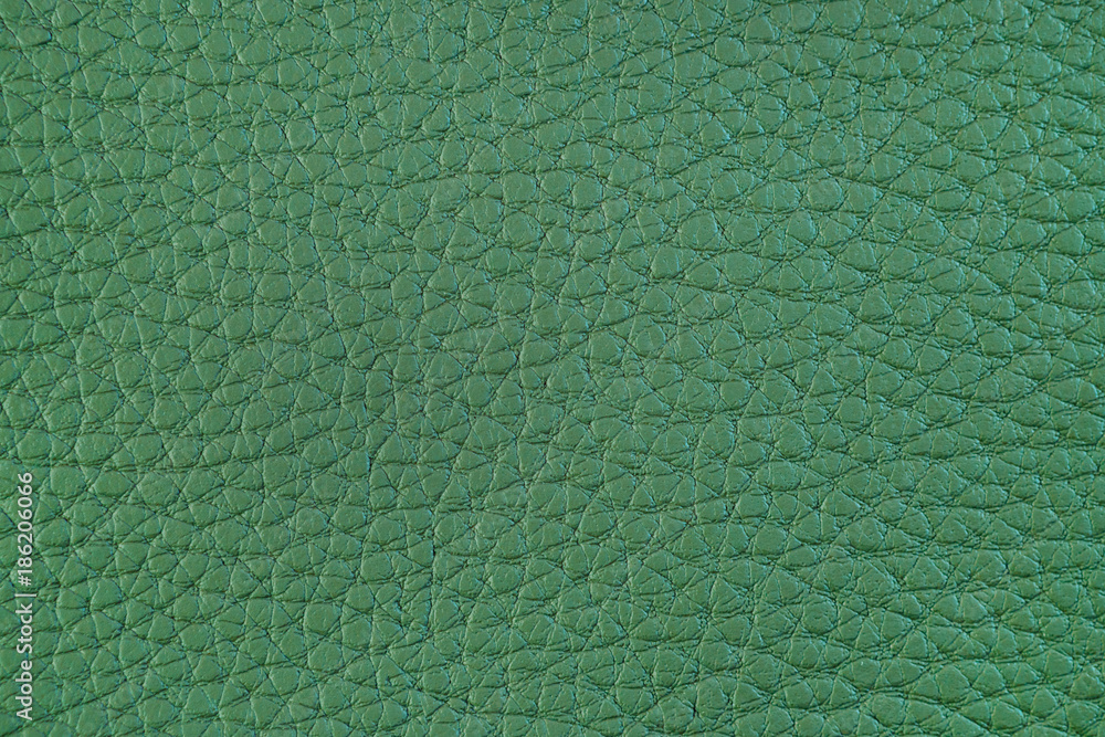 Texture of artificial leather. Light green background. Texture of artificial leather. Light green background.